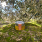 Perles huile d'olive - Picual